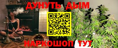 крисы Будённовск