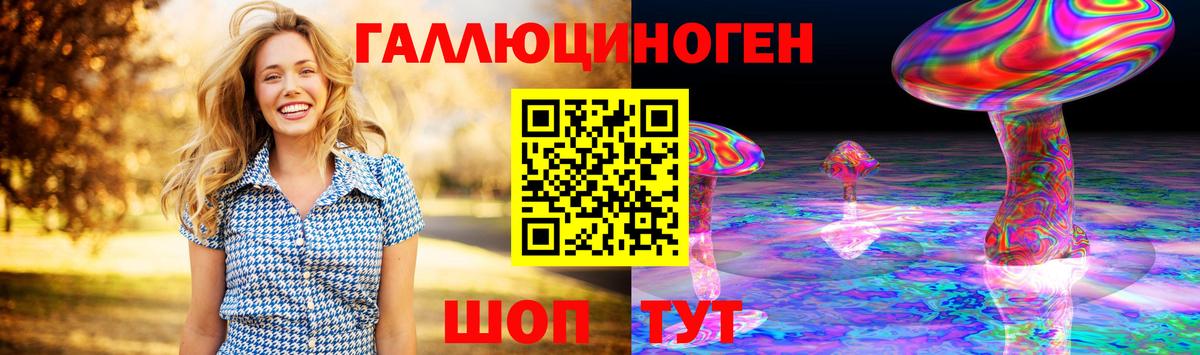 Галлюциногенные грибы Psilocybe Сочи